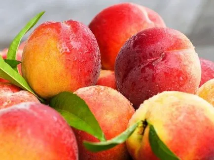 Cât de util nectarine Cât de util nectarine