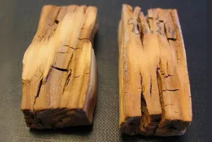 Lemnul impregnant