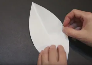 Masterat Clasa de hârtie appliqué