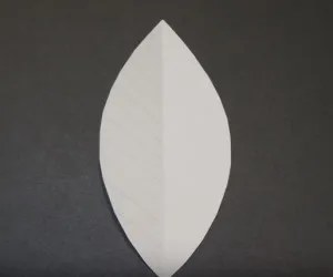 Masterat Clasa de hârtie appliqué