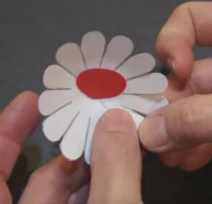 Masterat Clasa de hârtie appliqué