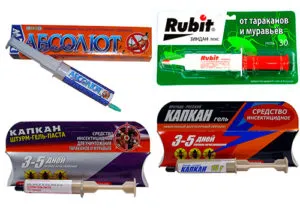 Ceea ce a apărut gândaci Ceea ce a apărut gândaci