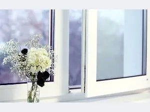 Din care gândacii de plante Din care gândacii de plante