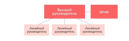 Structura organizatorică că este