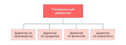 Structura organizatorică că este