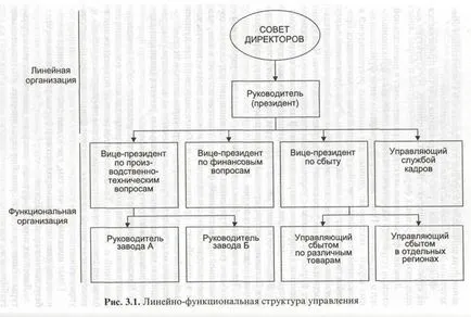 Structura organizatorică că este Structura organizatorică că este