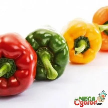 ratunda Pepper ce este ratunda Pepper ce este