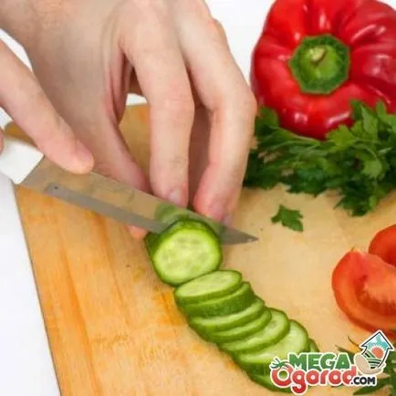 ratunda Pepper ce este ratunda Pepper ce este