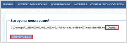 Cum se descarcă Declarația pe portalurile federale și regionale