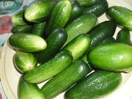 Cât de aproape castraveți crocante delicioase în iarna mama tuturor Trades (castraveți) Cât de aproape castraveți delicioase crocante în mama de iarnă a tuturor tranzacțiilor