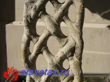 Cum se împletesc în mod corect ficus