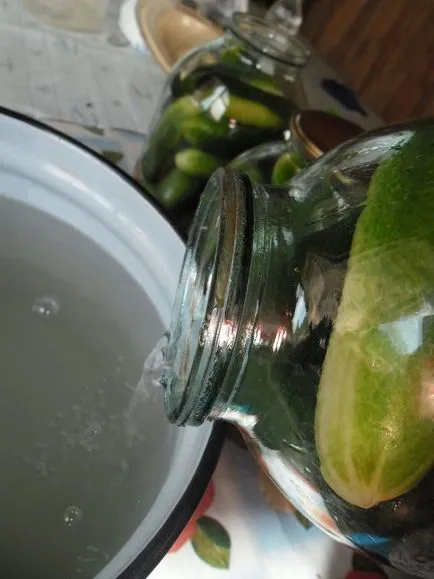 Cât de aproape castraveți crocante delicioase în iarna mama tuturor Trades (castraveți) Cât de aproape castraveți delicioase crocante în mama de iarnă a tuturor tranzacțiilor