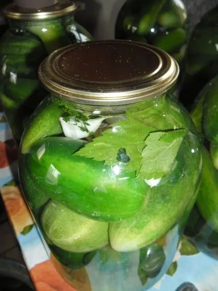 Cât de aproape castraveți crocante delicioase în iarna mama tuturor Trades (castraveți) Cât de aproape castraveți delicioase crocante în mama de iarnă a tuturor tranzacțiilor