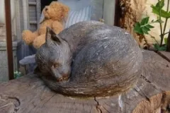 Kazan pisică Kazan pisică