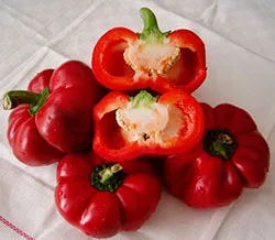 ratunda Pepper ce este