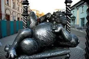 Kazan pisică Kazan pisică