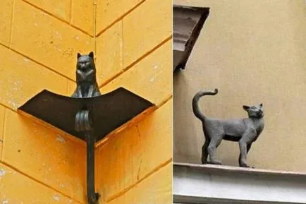Kazan pisică Kazan pisică