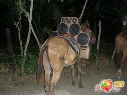 Cum pot converti masina mea Cum pot converti masina mea