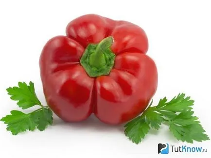 ratunda Pepper ce este
