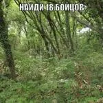 Cum oamenii sforăie Cum oamenii sforăie