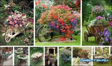 Mână cu propriile sale mâini pentru grădină