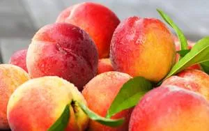 Cât de util nectarine