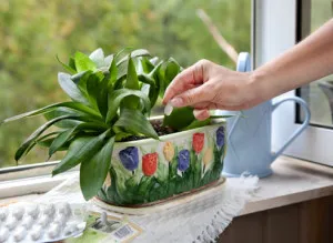 Cum să planteze flori