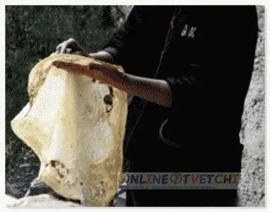 Cum se coace pâine pita