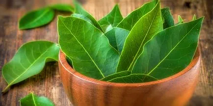 Tratamentul cronic endometritei de remedii populare