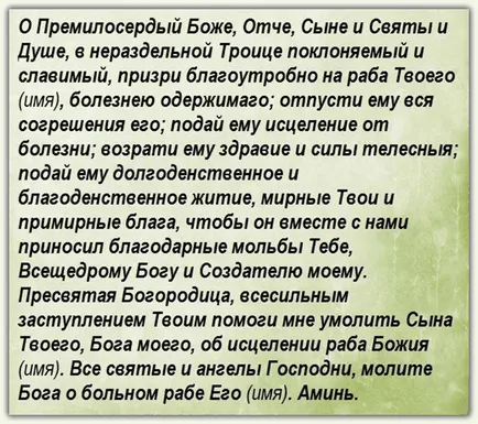 Rugăciunea pentru copii saint Rugăciunea pentru copii saint