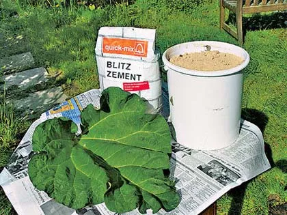 Cum cifrele pentru grădină