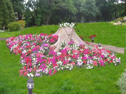Care sunt flori de grădină