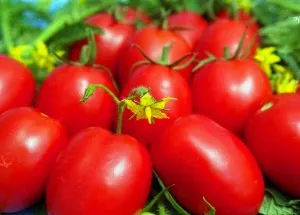 Cel mai delicios varietate de tomate Cel mai delicios varietate de tomate