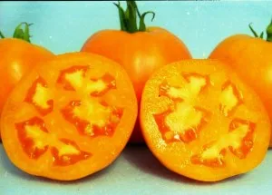 Cel mai delicios varietate de tomate Cel mai delicios varietate de tomate