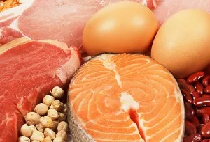 Proteinele sunt ce fel de produse