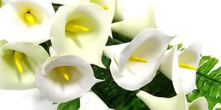 Ce infloreste fecale
