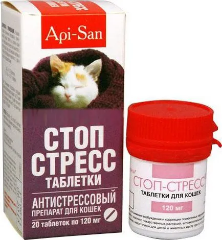 Ce ar putea fi din cauza stresului