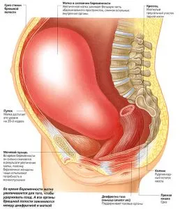 Tonul uterului simptome asemanatoare Tonul uterului simptome asemanatoare