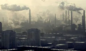 hepatită toxică de la ceea ce