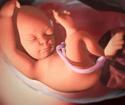 Tonul uterului simptome asemanatoare Tonul uterului simptome asemanatoare
