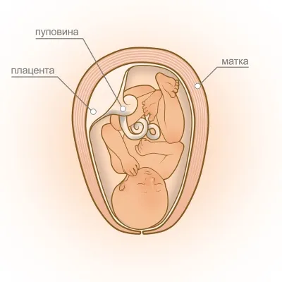 Tonul uterului simptome asemanatoare Tonul uterului simptome asemanatoare