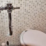 Deoarece nicio toaletă