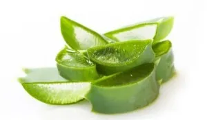 Injecțiile de aloe în ghidul de ginecologie Injecțiile de aloe în ghidul de ginecologie