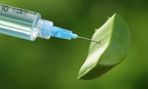 Injecțiile de aloe în ghidul de ginecologie Injecțiile de aloe în ghidul de ginecologie
