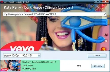 Ce este un downloader