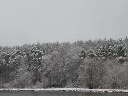 Ce este de a fi in toamna