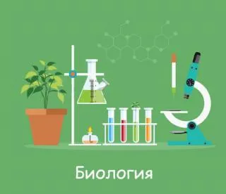 De ce oamenii studiază natura