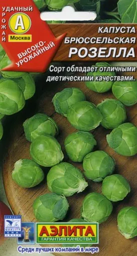 varză de Bruxelles Cultivarea varză de varză de Bruxelles Cultivarea varză de