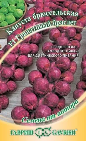 varză de Bruxelles Cultivarea varză de varză de Bruxelles Cultivarea varză de