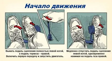 Cum să învețe să conducă un manual